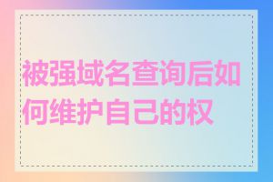 被强域名查询后如何维护自己的权益