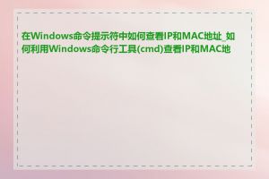 在Windows命令提示符中如何查看IP和MAC地址_如何利用Windows命令行工具(cmd)查看IP和MAC地址