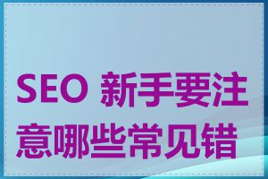 SEO 新手要注意哪些常见错误