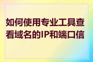 如何使用专业工具查看域名的IP和端口信息