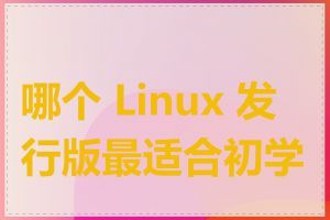 哪个 Linux 发行版最适合初学者