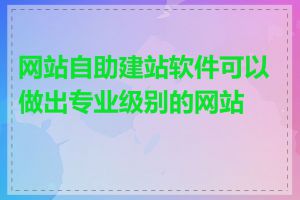 网站自助建站软件可以做出专业级别的网站吗