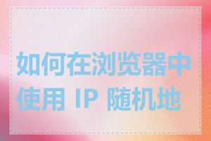 如何在浏览器中使用 IP 随机地址