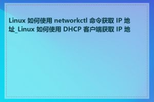 Linux 如何使用 networkctl 命令获取 IP 地址_Linux 如何使用 DHCP 客户端获取 IP 地址