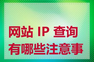 网站 IP 查询有哪些注意事项