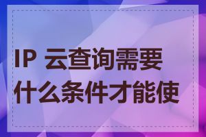 IP 云查询需要什么条件才能使用