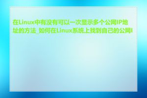 在Linux中有没有可以一次显示多个公网IP地址的方法_如何在Linux系统上找到自己的公网IP