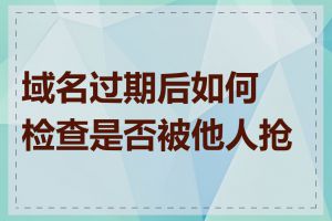 域名过期后如何检查是否被他人抢注