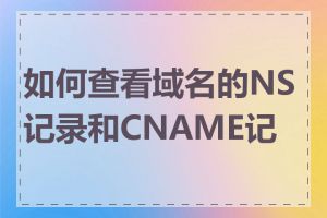 如何查看域名的NS记录和CNAME记录