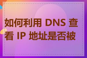 如何利用 DNS 查看 IP 地址是否被墙