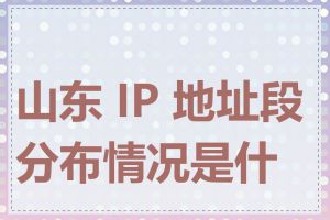 山东 IP 地址段分布情况是什么