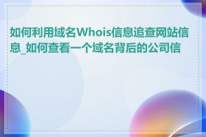 如何利用域名Whois信息追查网站信息_如何查看一个域名背后的公司信息