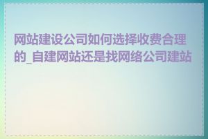 网站建设公司如何选择收费合理的_自建网站还是找网络公司建站好