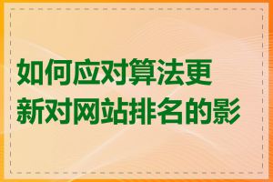 如何应对算法更新对网站排名的影响