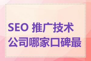 SEO 推广技术公司哪家口碑最好