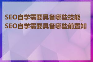 SEO自学需要具备哪些技能_SEO自学需要具备哪些前置知识