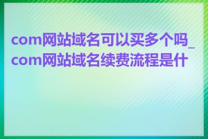 com网站域名可以买多个吗_com网站域名续费流程是什么