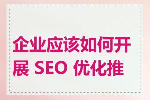 企业应该如何开展 SEO 优化推广