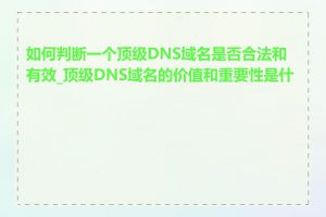 如何判断一个顶级DNS域名是否合法和有效_顶级DNS域名的价值和重要性是什么