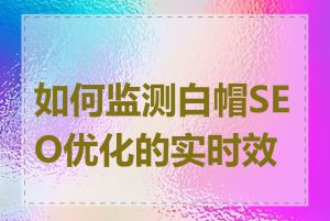 如何监测白帽SEO优化的实时效果