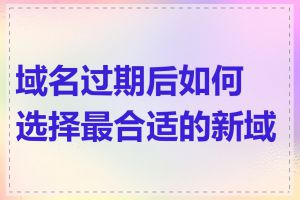 域名过期后如何选择最合适的新域名