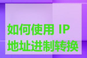 如何使用 IP 地址进制转换器