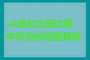 .ai域名注册过程中常见的问题有哪些