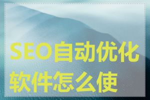 SEO自动优化软件怎么使用