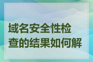 域名安全性检查的结果如何解读