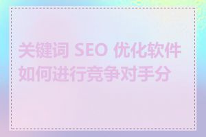 关键词 SEO 优化软件如何进行竞争对手分析