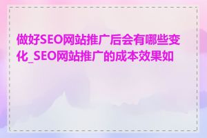 做好SEO网站推广后会有哪些变化_SEO网站推广的成本效果如何