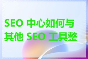 SEO 中心如何与其他 SEO 工具整合