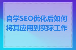 自学SEO优化后如何将其应用到实际工作中