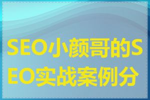 SEO小颜哥的SEO实战案例分享