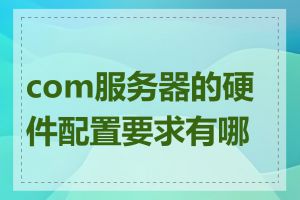 com服务器的硬件配置要求有哪些