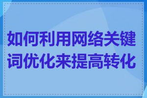 如何利用网络关键词优化来提高转化率