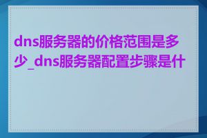 dns服务器的价格范围是多少_dns服务器配置步骤是什么