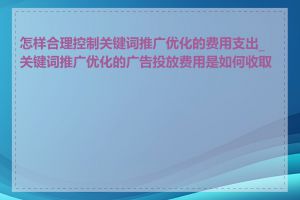 怎样合理控制关键词推广优化的费用支出_关键词推广优化的广告投放费用是如何收取的