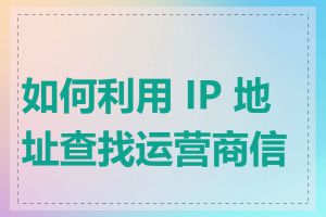 如何利用 IP 地址查找运营商信息