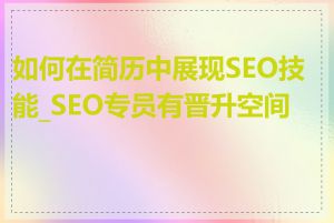 如何在简历中展现SEO技能_SEO专员有晋升空间吗