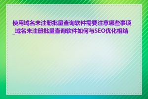 使用域名未注册批量查询软件需要注意哪些事项_域名未注册批量查询软件如何与SEO优化相结合