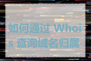 如何通过 Whois 查询域名归属人