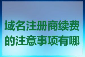 域名注册商续费的注意事项有哪些