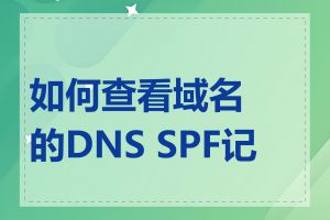 如何查看域名的DNS SPF记录