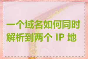 一个域名如何同时解析到两个 IP 地址