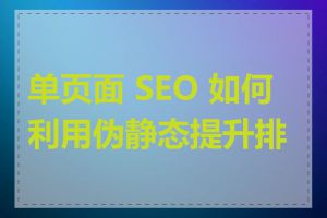 单页面 SEO 如何利用伪静态提升排名