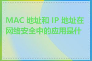 MAC 地址和 IP 地址在网络安全中的应用是什么