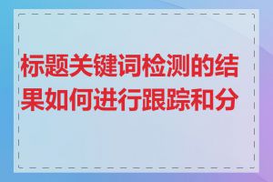 标题关键词检测的结果如何进行跟踪和分析