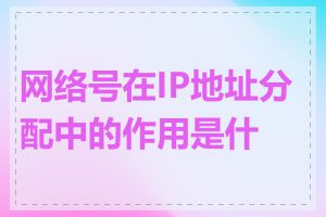 网络号在IP地址分配中的作用是什么