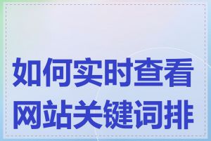 如何实时查看网站关键词排名